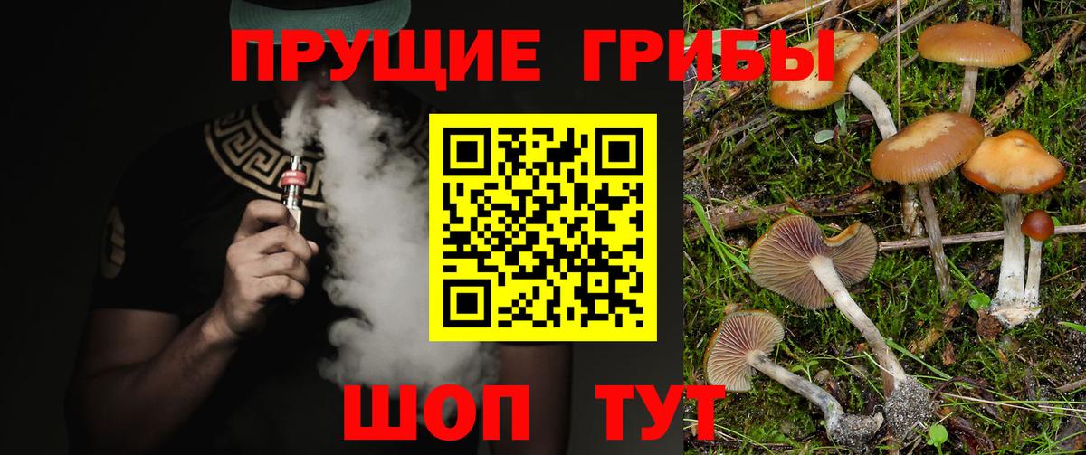Псилоцибиновые грибы Magic Shrooms  Псилоцибиновые грибы мухоморы  Минусинск  Вход с VPN 